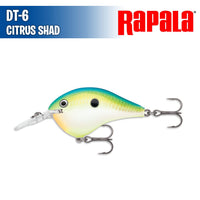 DT- 6 - Rapala