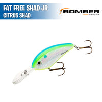 Fat Free Shad Jr - 2 1/2"- Bomber