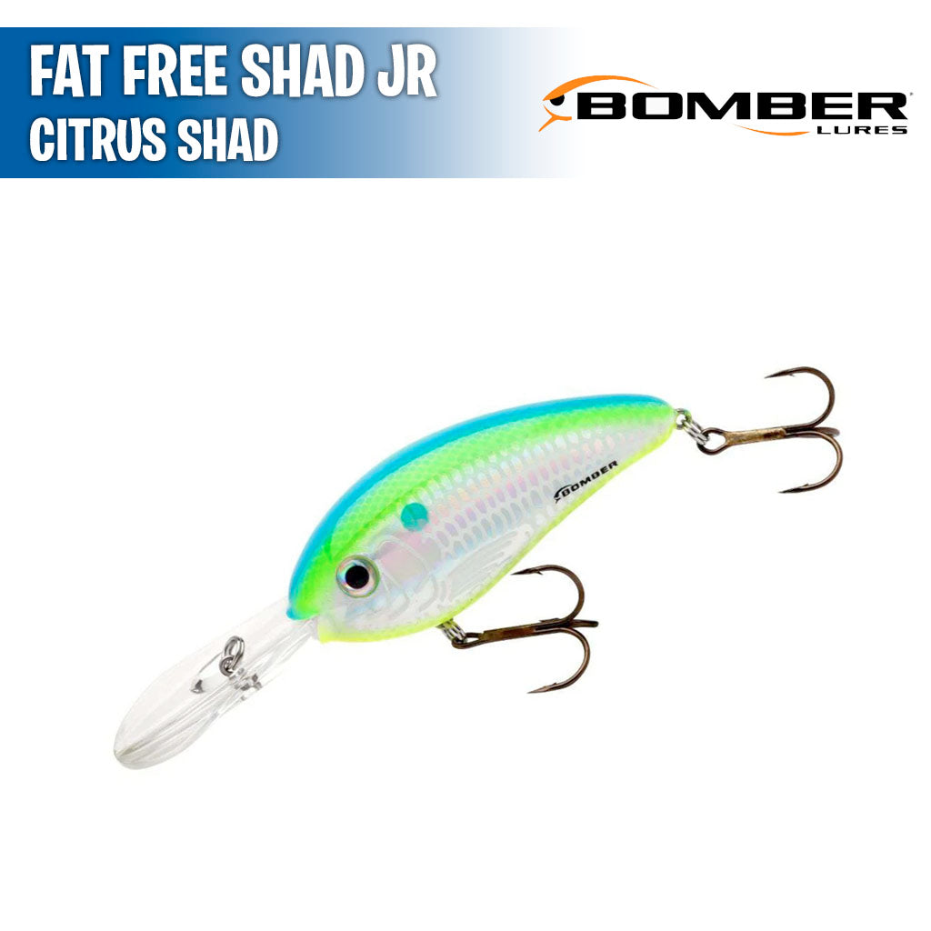 Fat Free Shad Jr - 2 1/2"- Bomber