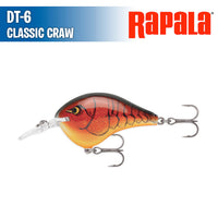 DT- 6 - Rapala