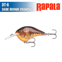 DT- 6 - Rapala