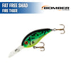 Fat Free Shad - 3" - Bomber