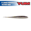 Forward Facing Sonar Minnow 3″ - Yum