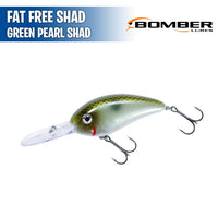 Fat Free Shad - 3" - Bomber