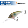 Fat Free Fry - Bomber