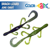 Draco Lizard 7.5" - Color Baits