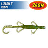 Lizard 6" - Zoom