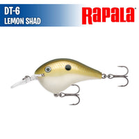 DT- 6 - Rapala