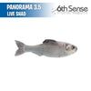 Panorama 3.5 - 6th Sense