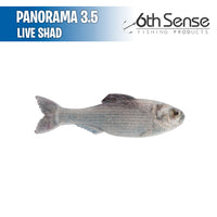 Panorama 3.5 - 6th Sense