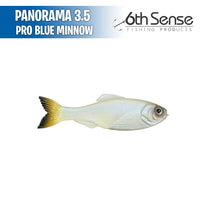Panorama 3.5 - 6th Sense
