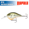 DT- 6 - Rapala