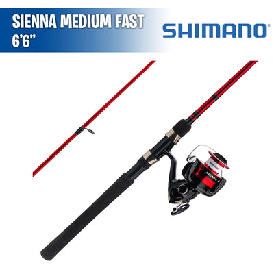 Sienna - Medium Fast - 6'6 - Combo Spinnig - Shimano