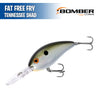 Fat Free Fry - Bomber