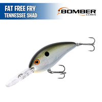 Fat Free Fry - Bomber