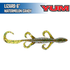 Lizard 6" - YUM