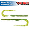 Ribbontail 7.5" - Yum