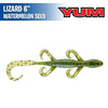 Lizard 6" - YUM