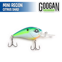 Mini Recon - Googan Squad
