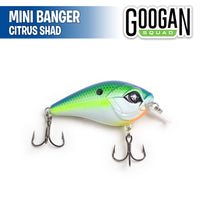 Mini Banger - Googan Squad