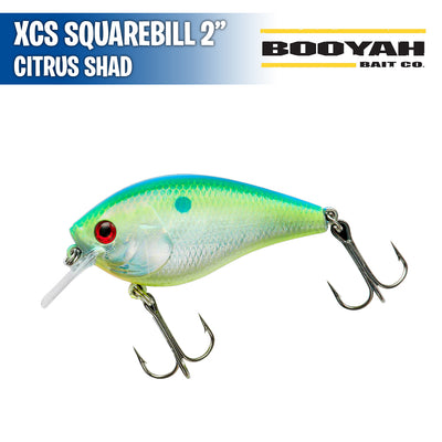 XCS Squarebill 2